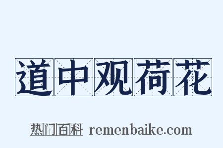 道中观荷花是什么意思的图片